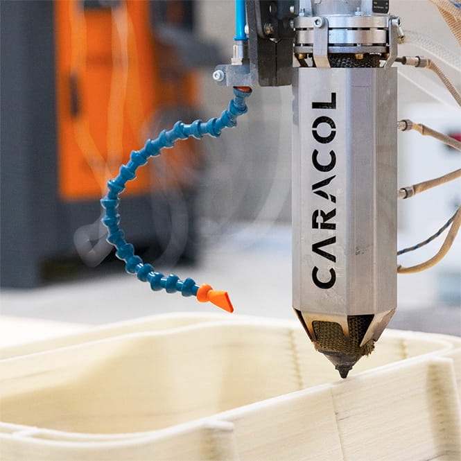 Caracol 1 HA Printing Close Up1